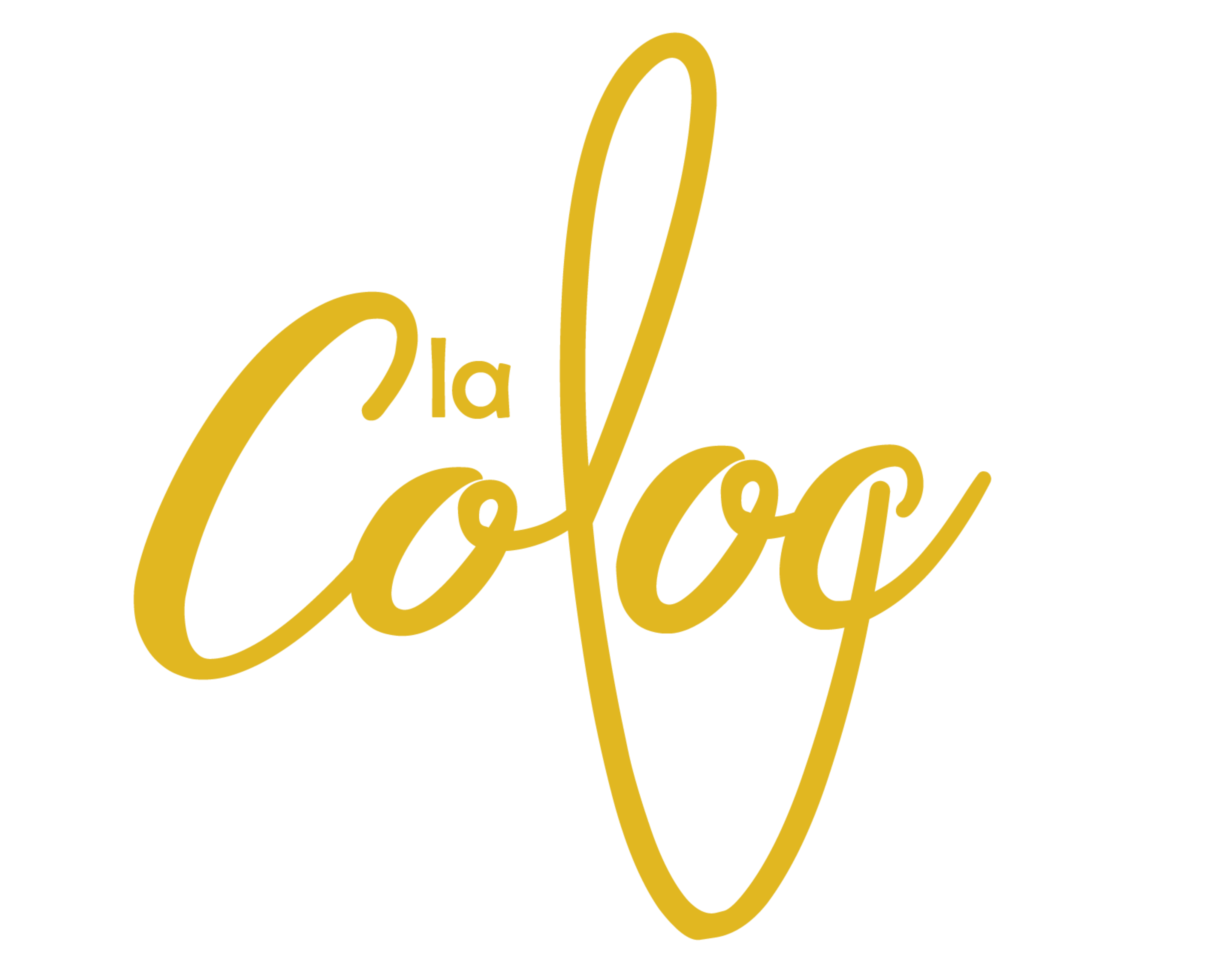 Logo La Coloc coworking à Pau
